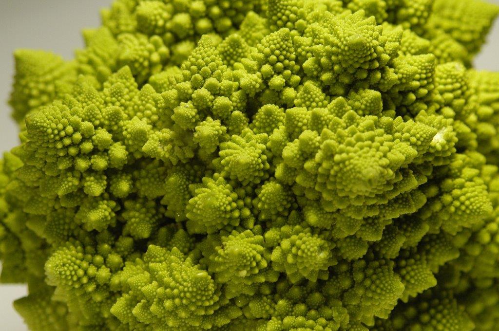 Broccoli e salute